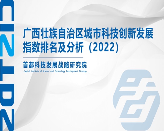 掰开粉嫩私穴【成果发布】广西壮族自治区城市科技创新发展指数排名及分析（2022）